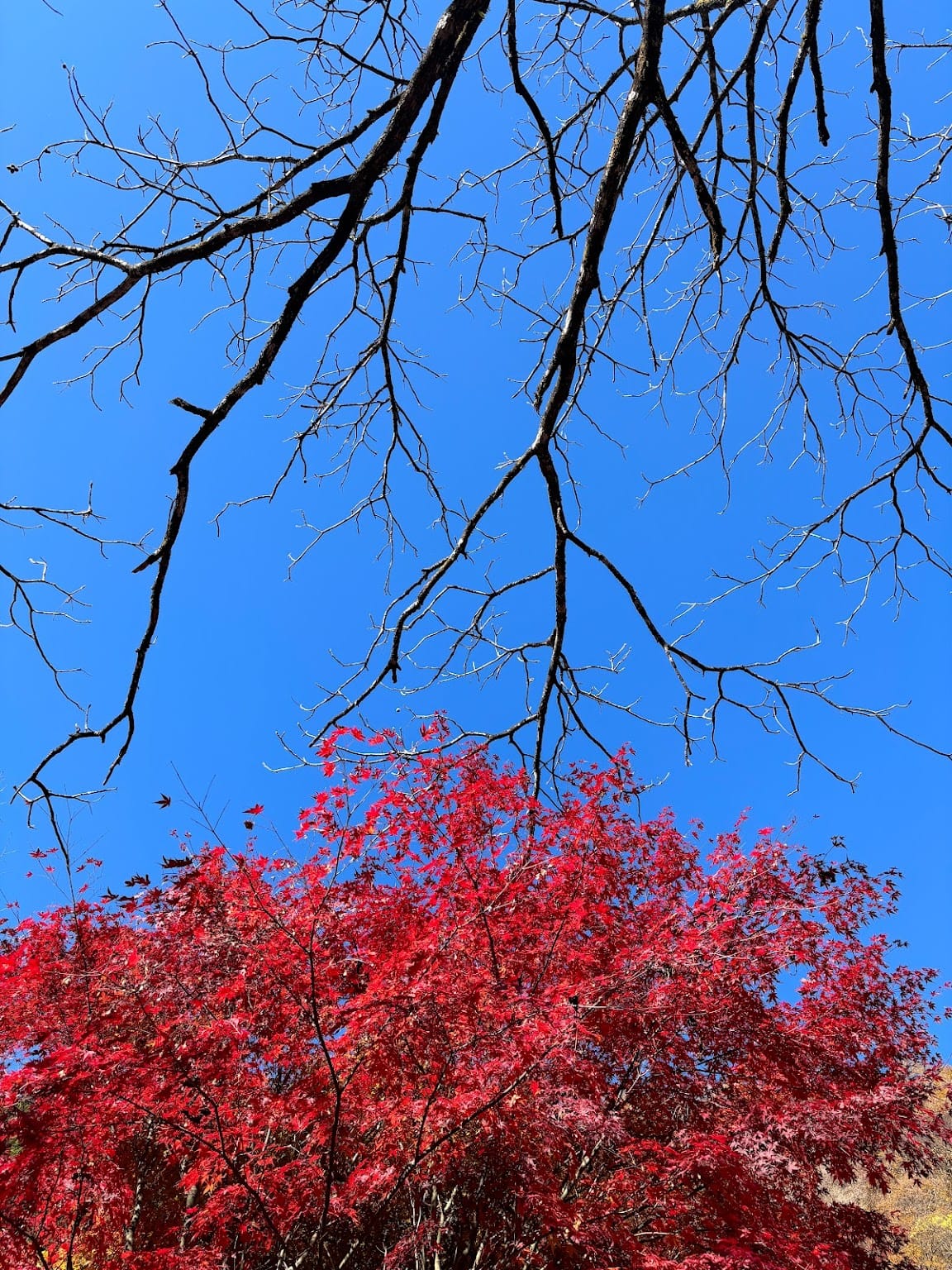 The radical need for friends to become informed safe spaces