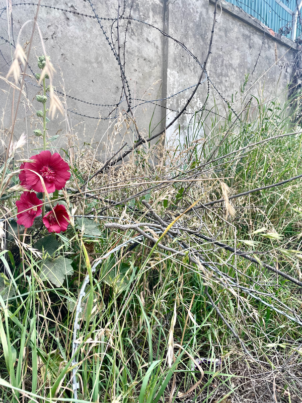 Can anyone ever be completely fearless?