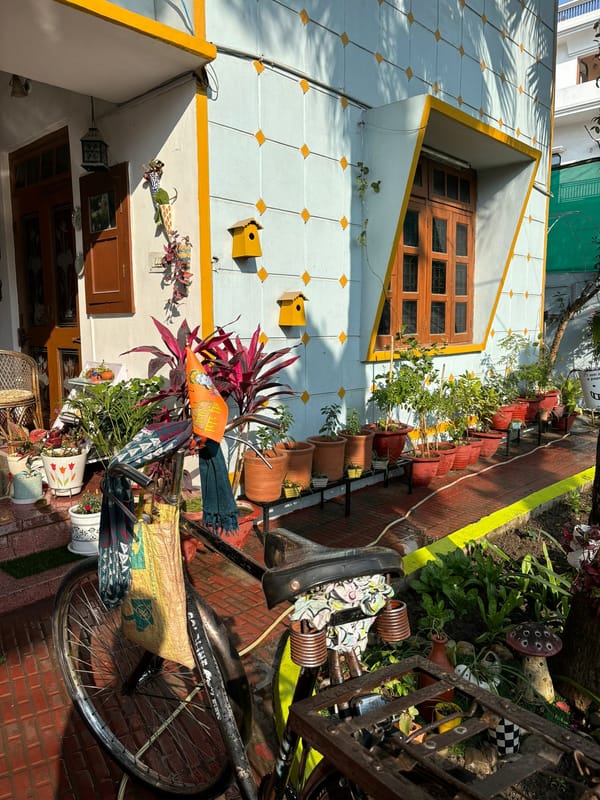 What’s common between a bowl of zarda, a ginger cat and hot jalebis?