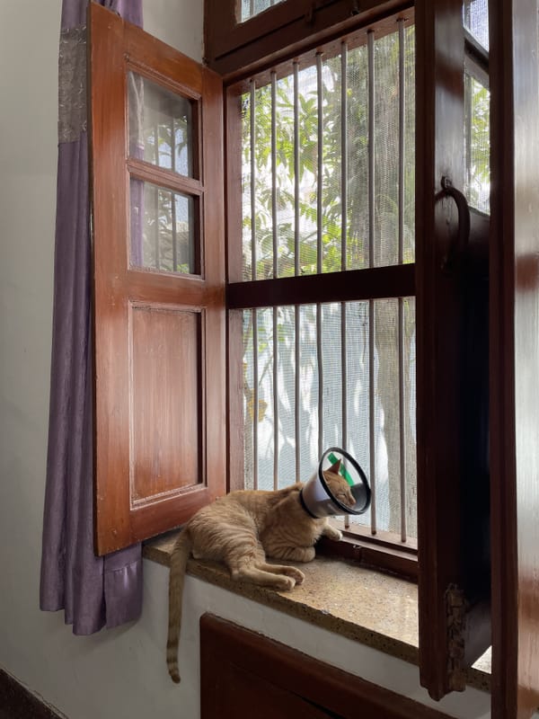 Reviving summer vacations as an adult